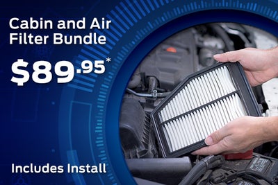 Cabin and Air Filter Special